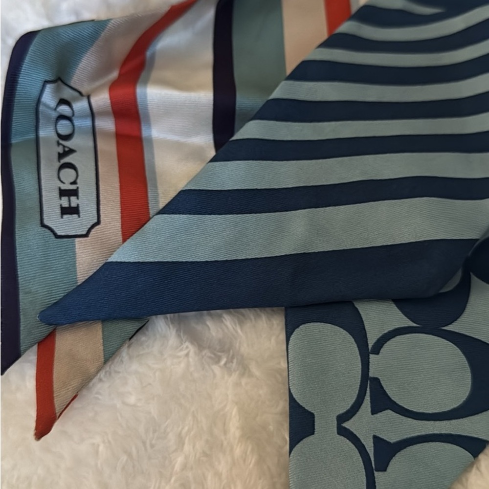 Coach Multicolor Striped Scarf